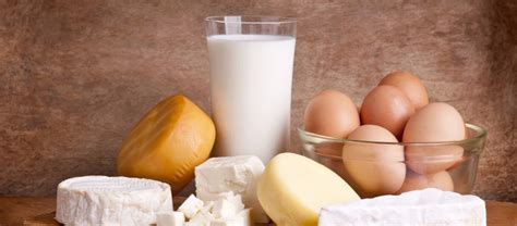 Guide To Milk And Dairy Foods