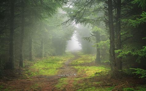 Darley Mist Darley Moor Peak District Uk James Mills Flickr