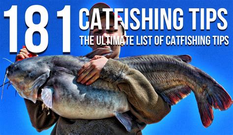 Catfishing Tips The Ultimate List Of Catfishing Tips