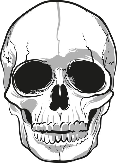 This High Quality Free Png Image Without Any Background Is About Skull