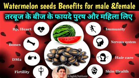 Watermelon Seeds Benefits Watermelon Seeds Benefits For Male And Female Tarbuj Ke Bij