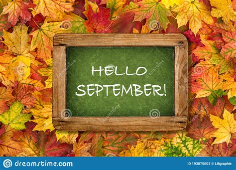 Hello September Maple Leaves Chalkboard Autumn Background Stock Image