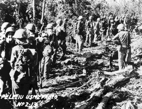 Photo Us Marines Peleliu Palau Islands 1944 World War Ii Database