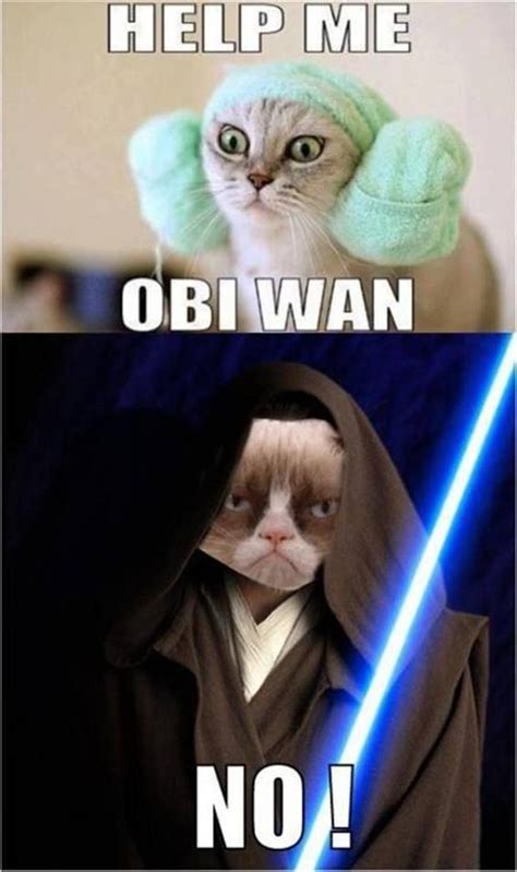 Star Wars Grumpy Cat Lol Funnysarcasticwords To Live By Pinterest Cats Sith And Stars