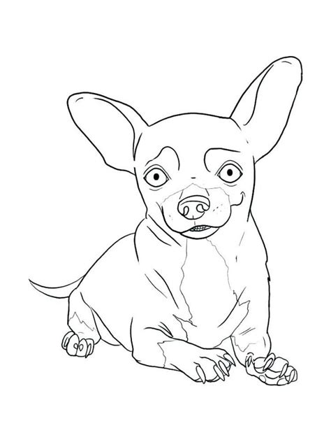 Teacup Chihuahua Coloring Pages Coloring Pages
