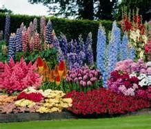 Perennial flowers are those which take one or two years to produce their first flowers, and then they keep scroll down for a list of perennial flowers which are easy to grow, and don't forget to check out the. Michigan Perennial Garden Ideas - Bing Images | The cutest ...