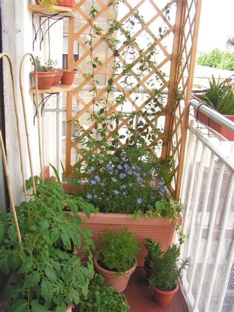 8 Planting Balcony Trellis Ideas