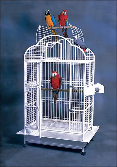 Guyana Dometop Victorian Flip Top Bird Cage By Interpet Products