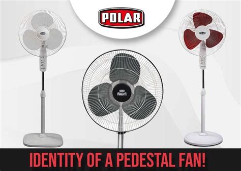 How To Identify The Features Of A Good Quality Pedestal Fan Pedestal