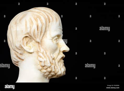 White Marble Bust Of The Greek Philosopher Aristoteles Isolated On