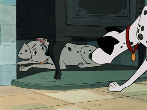 Whats The Mom Dogs Name In 101 Dalmatians Pets Lovers