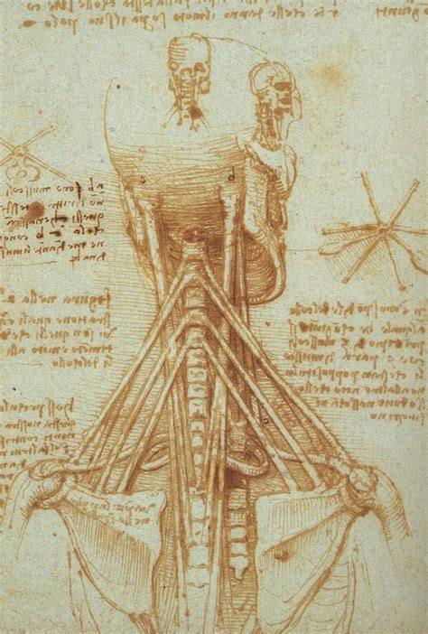 56 Dessins De Leonard De Vinci La Boite Verte Da Vinci Sketches Da