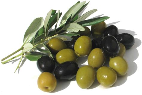 Olive Hd Wallpapers Top Free Olive Hd Backgrounds Wallpaperaccess