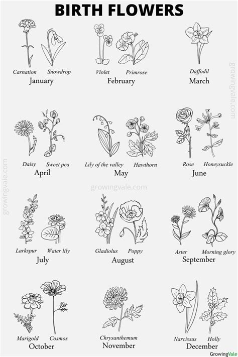 Birth Flowers By Month Which Plants Represent Your Birthday
