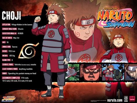Naruto Characters Profiles Tsunade360 Photo 30617473 Fanpop