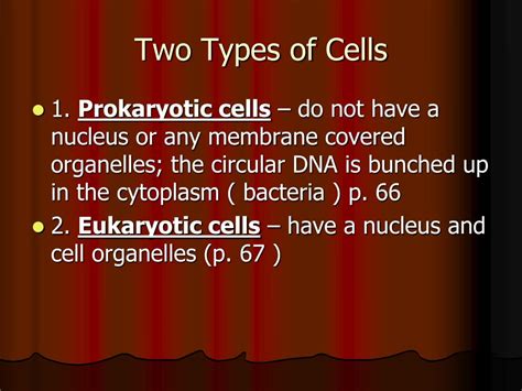Ppt Chapter 3 Cells The Basic Units Of Life Powerpoint Presentation
