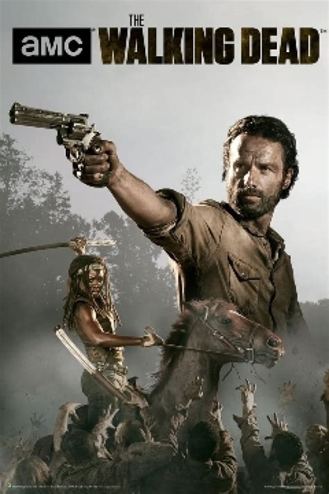 The Walking Dead Season 4 Rick And Michonne Laminated Poster 24 X 36