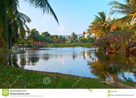 Tropical Lake Stock Image Image Of Landscape Exoticism 8024425