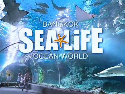 Sea Life Bangkok Ocean World Madame Tussauds Combo Tickets 3498
