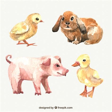 Watercolor farm animals Vector | Free Download