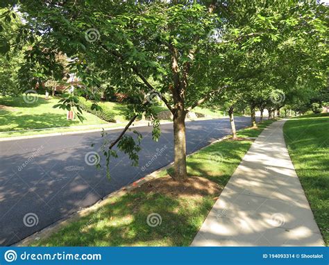 Freshly Paved Neighborhood Street In Summer Stock Photo Image Of
