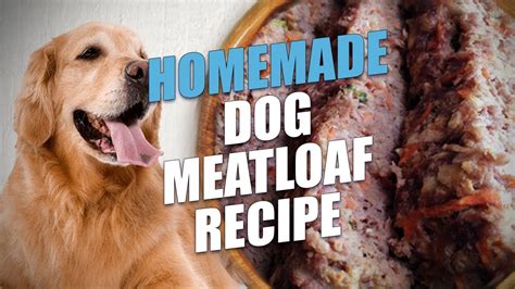 Homemade Dog Meatloaf Recipe Youtube