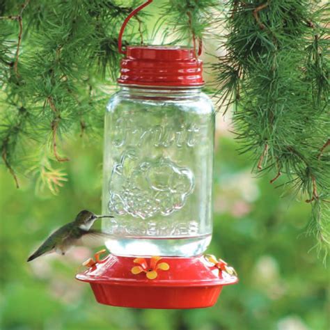For such small bodies, hummingbirds have a big appetite. Duncraft.com: Mason Jar Glass Hummingbird Feeder