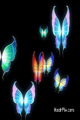 Find images of butterfly background. Colourful Butterflies - Bright Colors Photo (21439107 ...