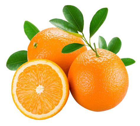 橙子 水果 Png素材爱在朱颜未改时