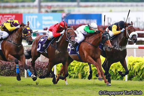 The singapore turf club has reported that there have been four confirmed cases of strangles in horses stabled at kranji racecourse. Racing and Racebook in 90Agency