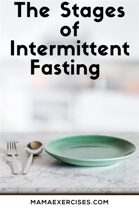 The Stages Of Intermittent Fasting Mama Exercises