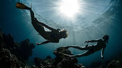 Il suffit de cliquer et regarder! Scuba Diving wallpapers - HD wallpaper Collections ...