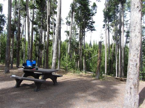Grant Village Campground Updated 2022 Prices And Reviews Yellowstone
