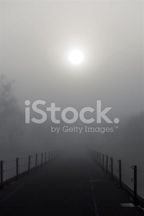Sun Through The Fog Stock Photo Royalty Free Freeimages