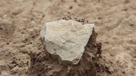 Worlds Oldest Tools From 33 Million Years Ago Discovered In Africa