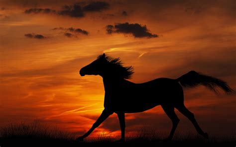 76 Free Desktop Backgrounds Horses