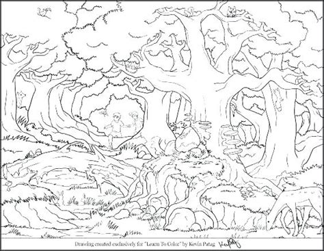 Deciduous Forest Coloring Pages At Free Printable