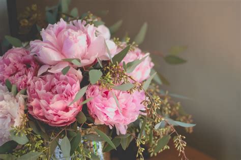 Make lasting memories with gourmet gifts from harry & david. 9 Types of Sympathy Flowers for Loss of a Pet | Cake Blog