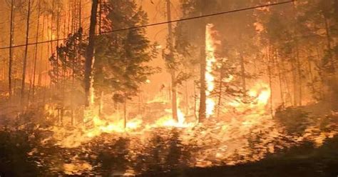 Canadá Correrá El Riesgo De Otra Temporada De Incendios Forestales