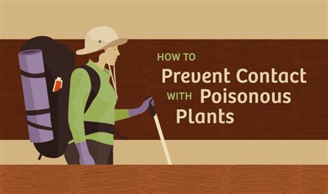 How To Prevent Contact With Poisonous Plants Infographic Visualistan