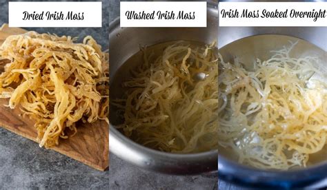 Beverages, caribbean cooking, caribbean recipes, drink, easy home cooking, home cooking recipes, how to make sea moss drink, irish seamoss drink, nutrition facts, recipe, sea moss, sea moss. Vegan Irish Moss (Sea Moss) Drink - Healthier Steps