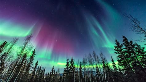 Northern Lights See Aurora Borealis Across Northern Us States