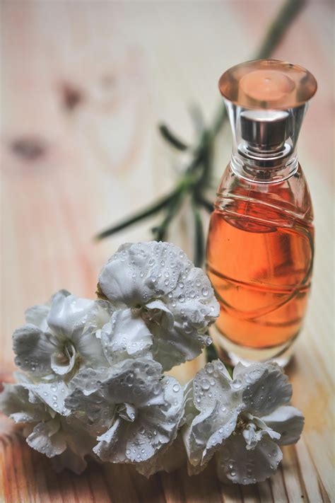 Perfume · Free Stock Photo