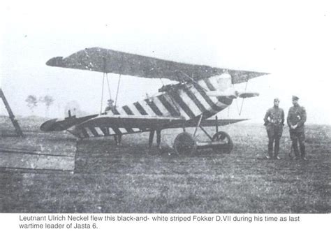 fokker d vii of leutnant ulrich neckel jasta 6 ww1 aircraft biplane outdoor