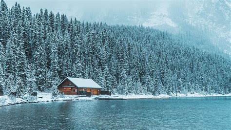 Cabin In Winter