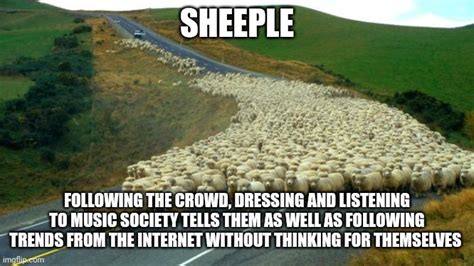 Sheeple Memes And S Imgflip