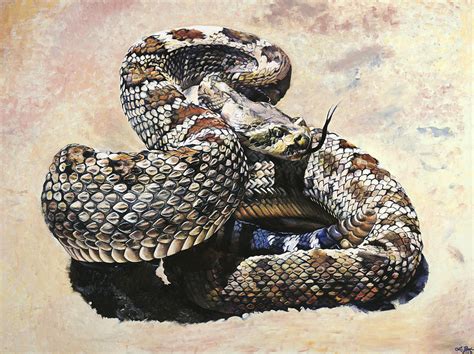 Rattlesnake Painting By Ivy Bath Fine Art America