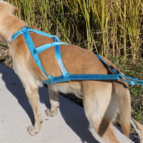 Strong Weight Dog Pulling Harness Heavy Duty X Back Dog Sledding