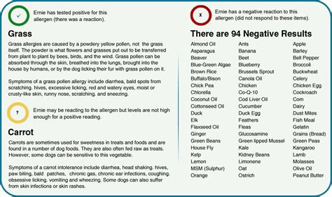 Dog Allergy Test Only €95 Improve Your Dogs Health Today Easydna