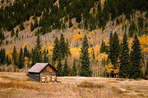 Cabin And Woods In The Fall In Boulder Colorado Image Free Stock